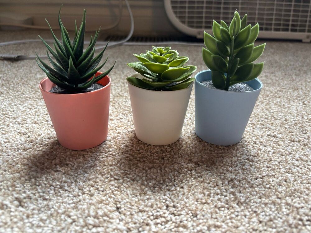 3 piece plastic succulent decor set